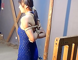 Chinese Arm Harness